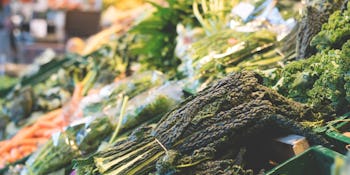 Interview: Using technology to reduce food waste with the #SortSquad